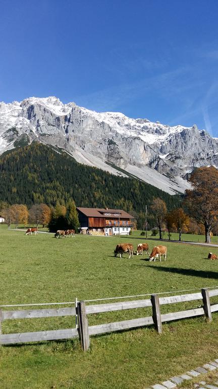 Alpenhaus Birkhahn Ξενοδοχείο Ramsau am Dachstein Εξωτερικό φωτογραφία